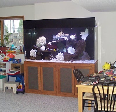 Advanced Aquarium Services