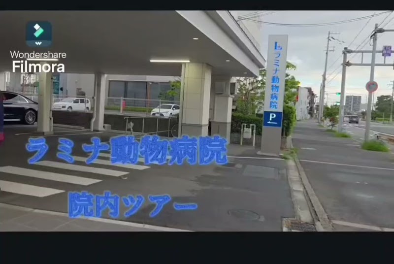 ラミナ動物病院
