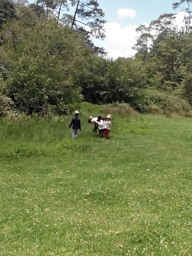 La Chivería - Thumbnail
