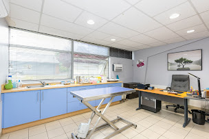 Photo n°13 de Clinique Vétérinaire Argos Saint-Erblon à Saint-Erblon (Vétérinaire)