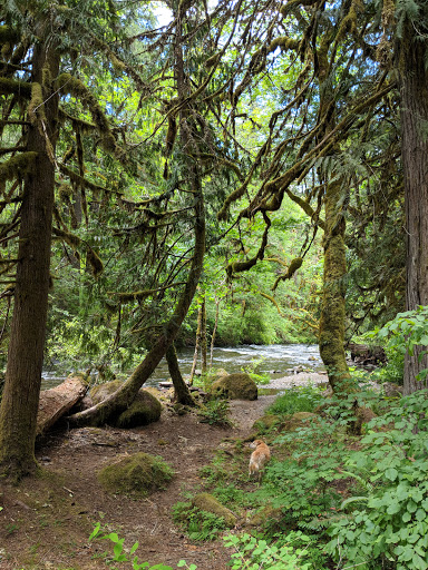 Ripplebrook Campground - Visual