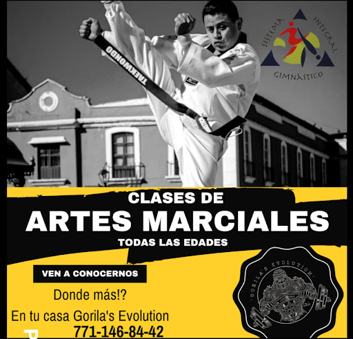 Gorilas Evolution - Visual