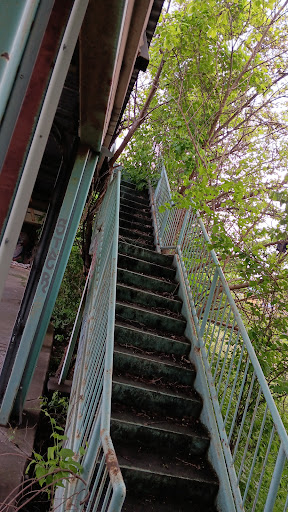 Baychester Park - Thumbnail