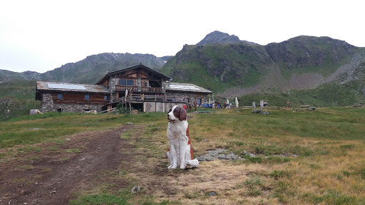 Bosco del Mont Fallere - Thumbnail