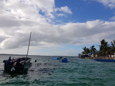 Photos of Duroa Island