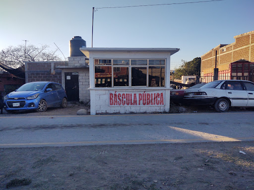 Bascula Amayuca - Visual