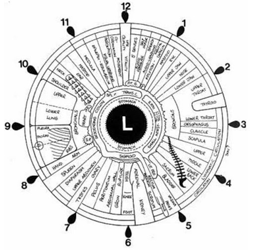 Healing Holistics - Thumbnail
