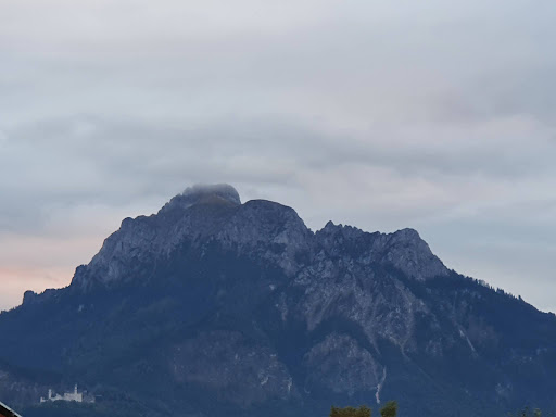 Haus Schweiger - Visual