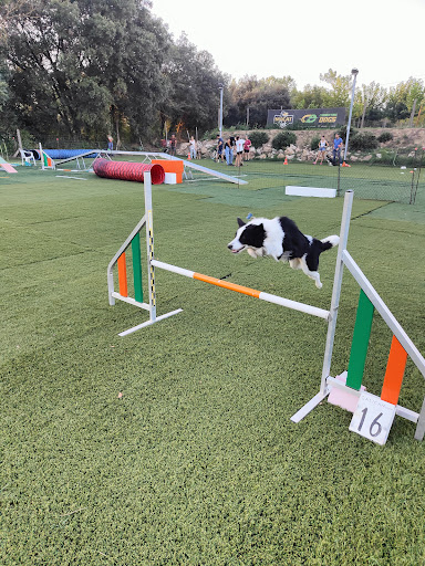 Hotel para perros Mircatpark resort