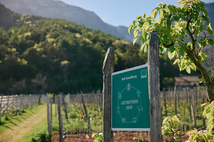 Thomas Niedermayr by null