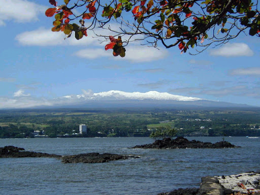 Pacific Isle Properties - United States