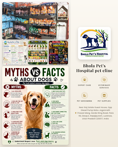 Bhola Pet's Hospital is your trusted animal hospital offering comprehensive pet care, grooming, a… post image