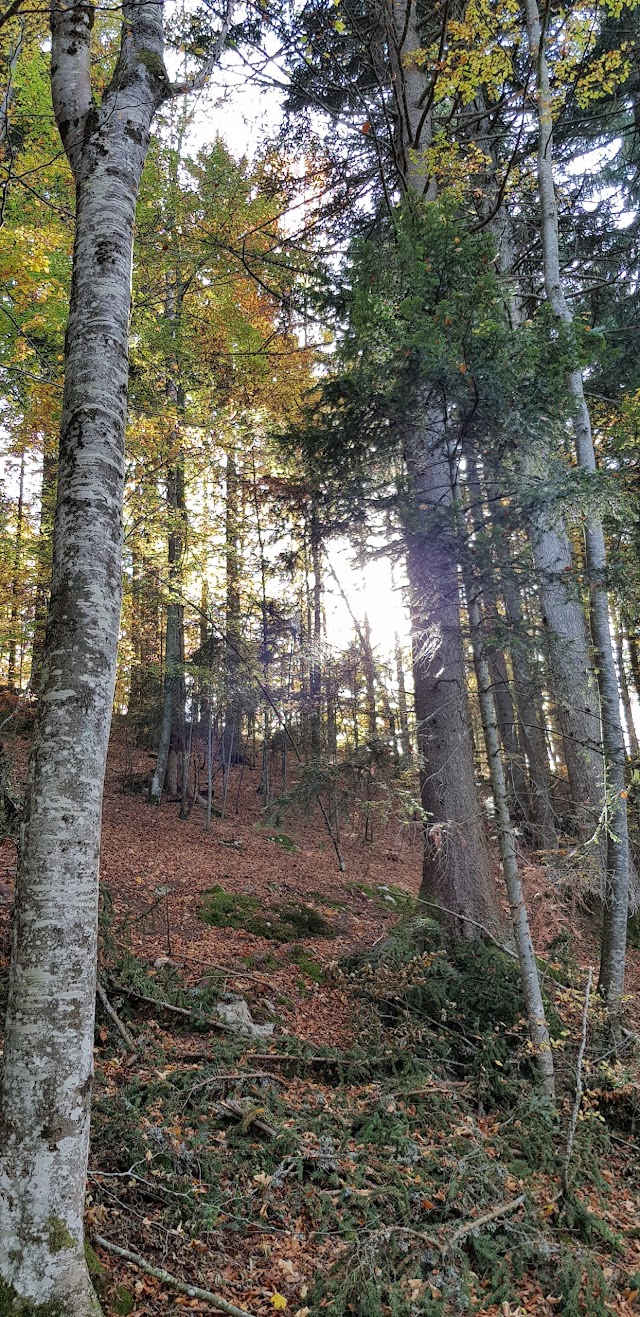 Villard-de-Lans