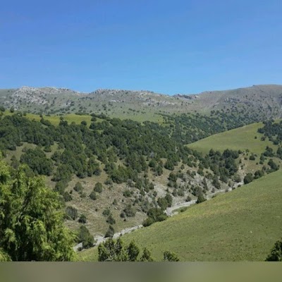 Photos of Buzbu Too