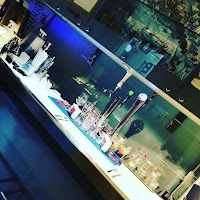 𝐆 𝐀 𝐋 𝐎 𝐈 𝐒