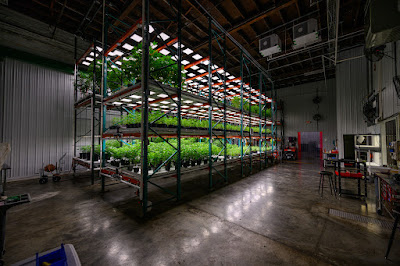 Photo of Forbins Reserve + ForbinsFinest Cultivation