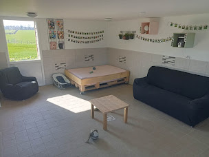 Photo n°11 de L'Astuce à Cahagnes (Pension pour chiens)