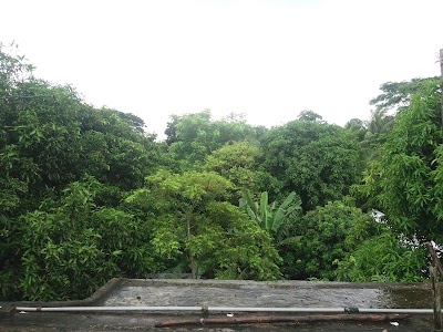 Photos of দুর্গা মন্দির