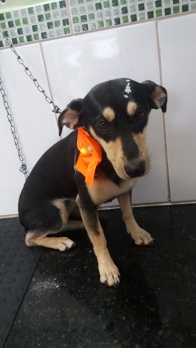 Photos of Cantinho Animal