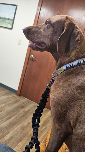 Whispering Pines Veterinary Services - Greenville - Thumbnail