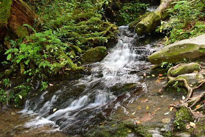 Grotto Falls Parking