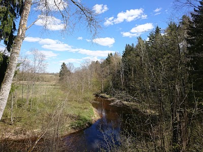 Photos of Mālpils Trail