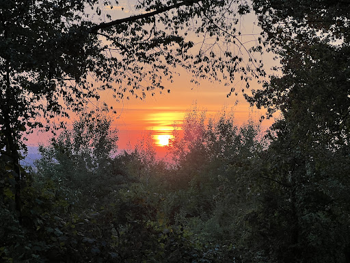 Ottos Waldschenke - Thumbnail