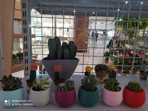 Tu Planta Barata - Thumbnail