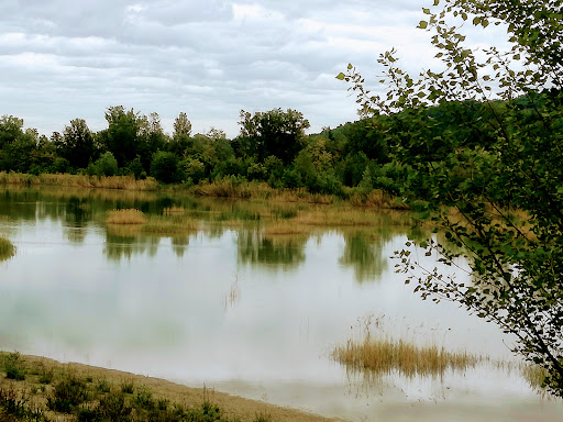 Parco Montesi - Visual