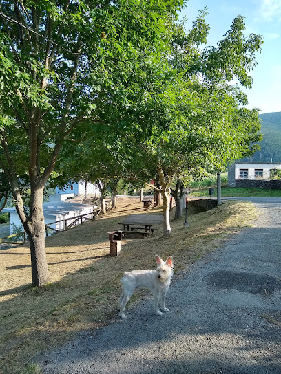 polideportivo-castrillon