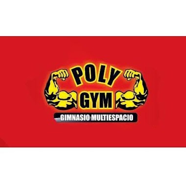 Poly Gym, Author: Poly Gym