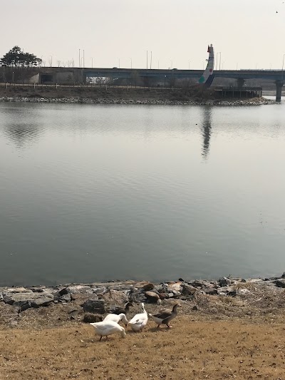 Photos of 아라등대