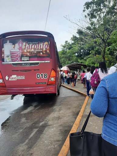 Parada Transbus - Thumbnail
