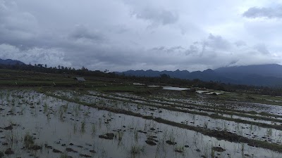 Photos of Ikanbakarpakw0