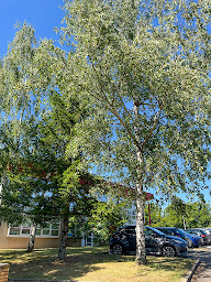 Photo n°2 de Optalor - Centrale d'achat des opticiens indépendants à Vandoeuvre-lès-Nancy (Magasin de lunettes de soleil)