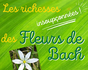 Photo n°12 de INSTITUT RETOUR A LA SOURCE à Eygaliers (Centre de formation)