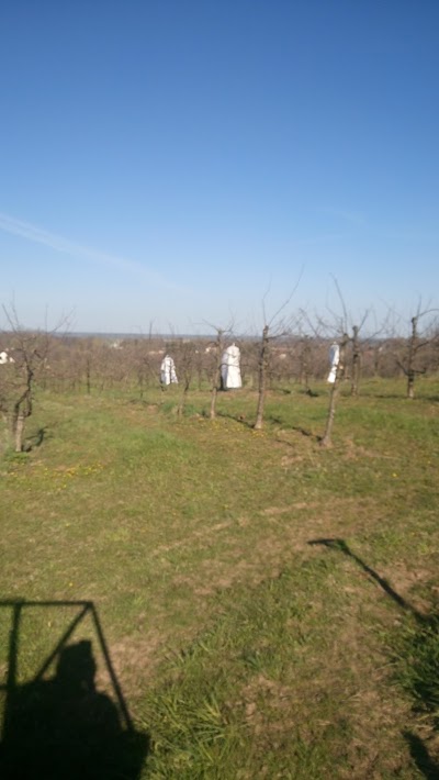 Photos of Kurzemnieki