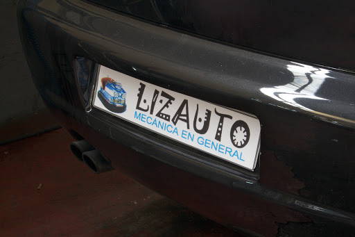 Lizauto - Thumbnail