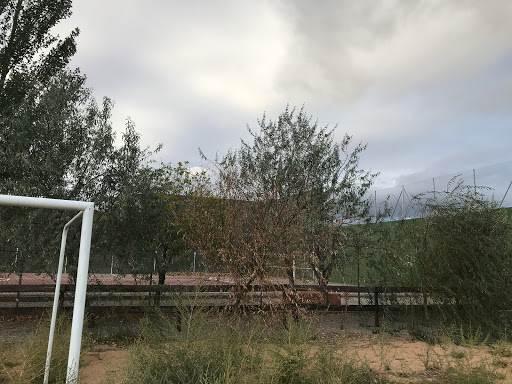Polideportivo Municipal de Torrelacárcel - Thumbnail
