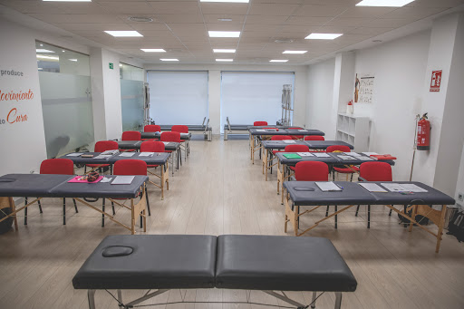 Centro Andaluz de Osteopatía | Fisioterapia y Osteopatía en Granada. - Thumbnail