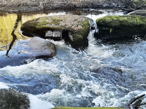 Waldnaab Uferpfad Wanderparkplatz - Thumbnail