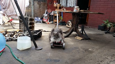 car-repair