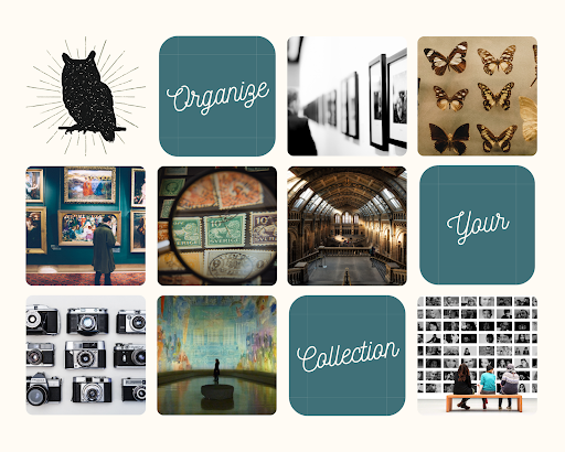 Museum Collection Consulting - Thumbnail