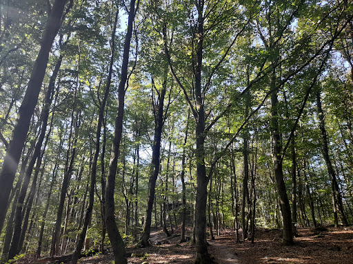 Magnetsteine - Visual