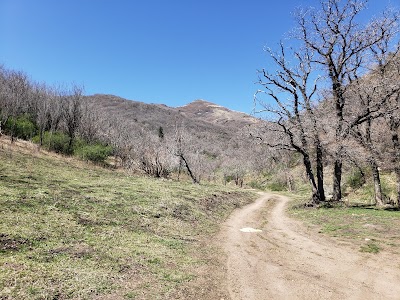 White Mountain Wilderness