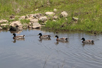 Iowa State University Research Park