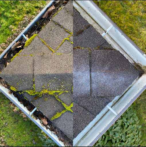 Max Pro Wash - Visual