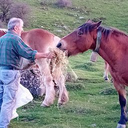 Photo n°36 de Camping Sobieta à Alçay-Alçabéhéty-Sunharette (Camping à la ferme)
