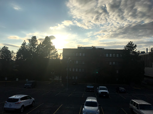 Hulbert Hall - Visual