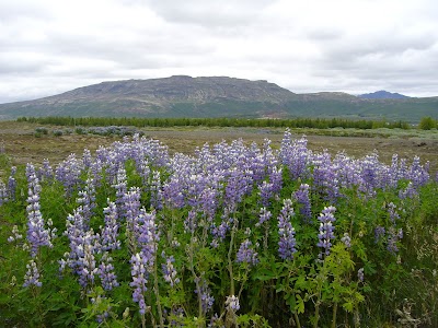 Photos of Br&uacute;arhl&ouml;&eth;